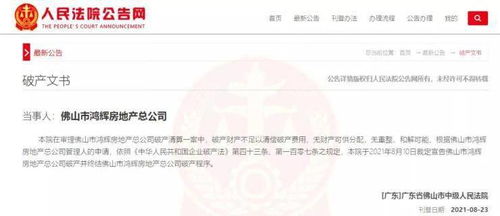 快讯 佛山市鸿辉房地产总公司宣告破产