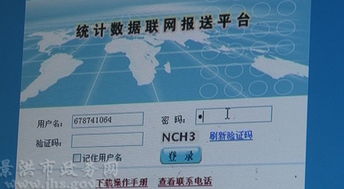 我市企业一套表直报改革工作顺利推进